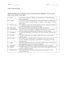 Name Date ______ Cells Vocabulary Quiz Directions: Match the