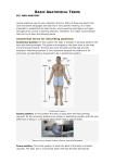 Basic Anatomical Terms