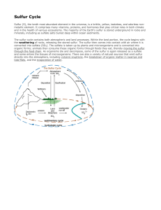 Sulfur Cycle