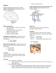 answers - UCSD Cognitive Science