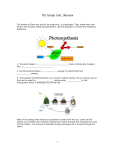 Photosynthesis Review - Galena Park ISD Moodle
