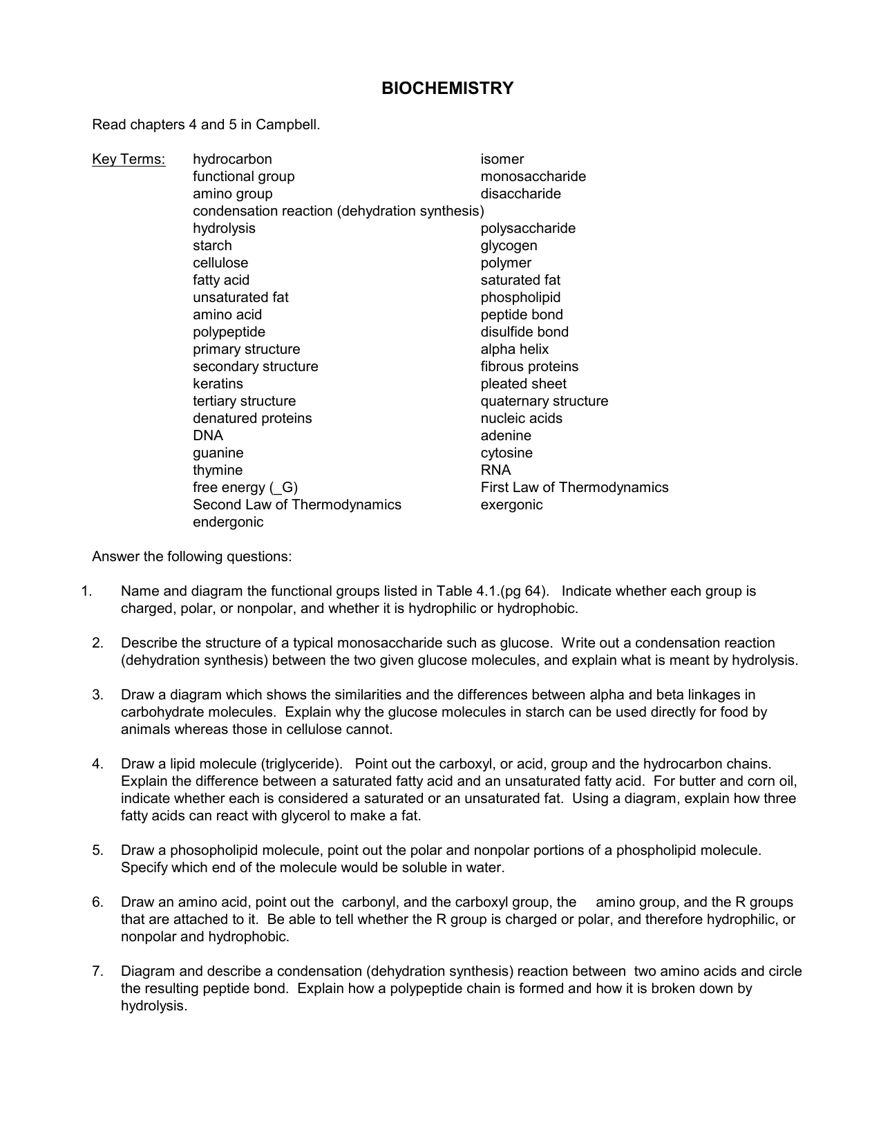 Dehydration Synthesis And Hydrolysis Worksheet