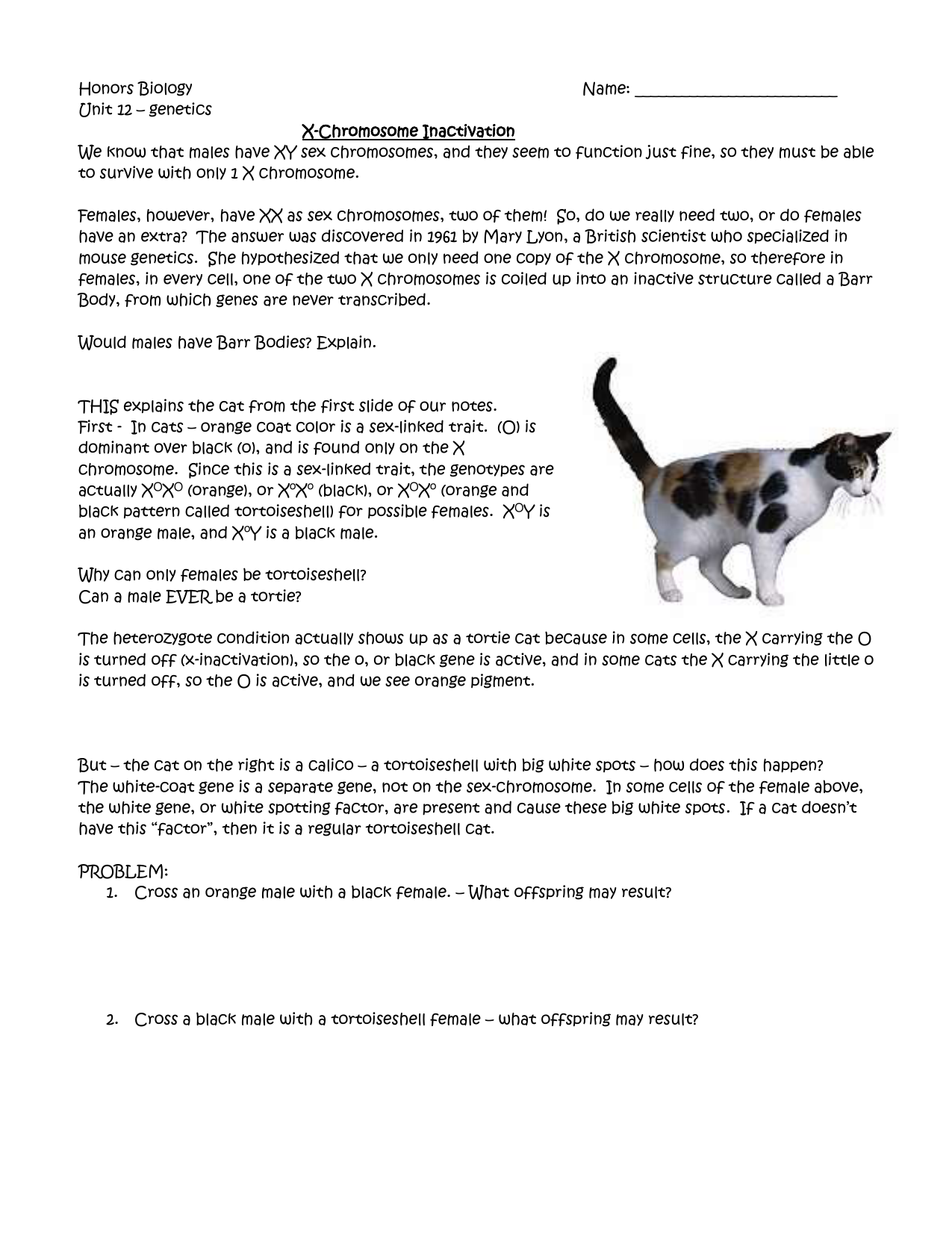 X linked in the calico cat examquiz