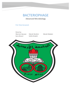 bacteriophage