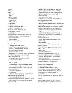 Dissector Bold terms 3