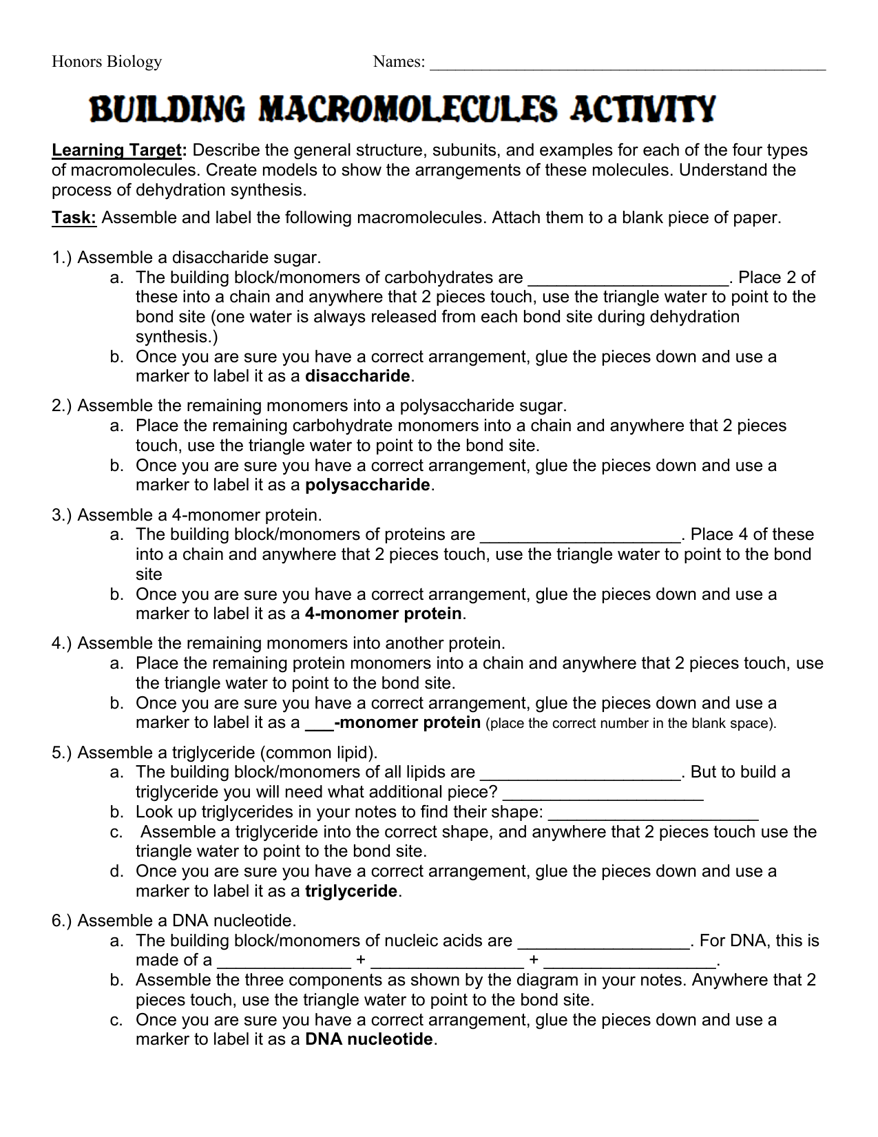 Macromolecule Chart Pdf