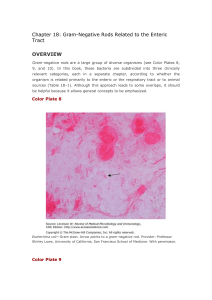 18. Gram-Negative Rods Related to the Enteric Tract