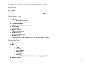 Melissa`s Dissector bold terms Unit 2