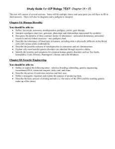 Chapter 14: Human Heredity - Southington Public Schools