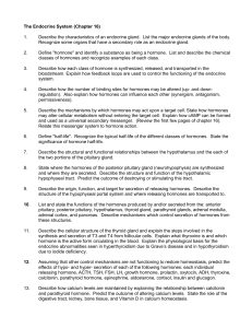 The Endocrine System (Chapter 16)