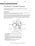 The body_s transport system enrich