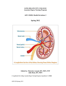 ADN 12B - Health Deviations 3