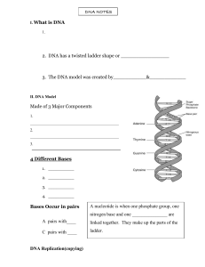 DNA notes File