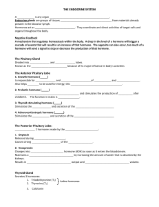 endocrine system - Coach Frei Science