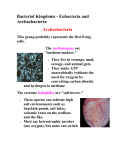 Bacterial Kingdoms - Eubacteria and Archaebacteria