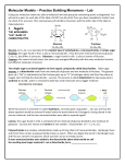 shortmolecular-model-build-lab