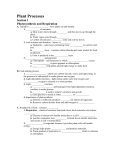 Plant Processes