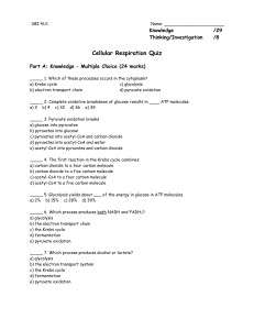 Practice Cellular Respiration Test