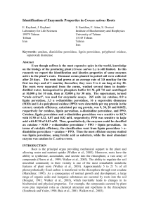 Identification of Enzymatic Properties in Crocus sativus Roots