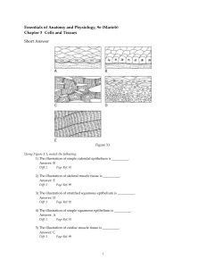 Essentials of Anatomy and Physiology, 9e (Marieb)