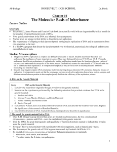 chapter 16 the molecule basis of inheritance