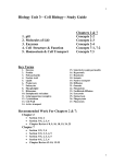 Biology Unit 3—Cell Biology-- Study Guide