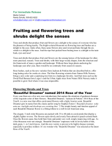 Fruiting and flowering trees and shrubs delight the senses