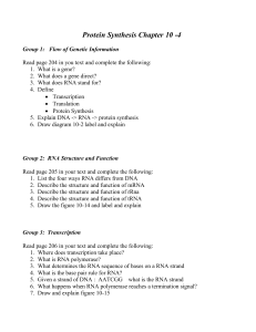 Group presentations guide 10-4