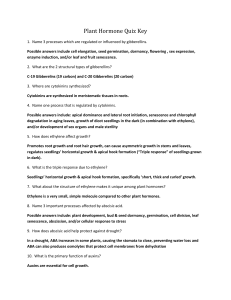 Plant Hormone Quiz Key