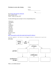 Worksheet on stem cells