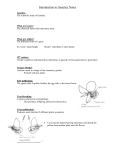 Introduction to Genetics Notes