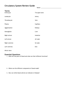 Circulatory System Review Guide