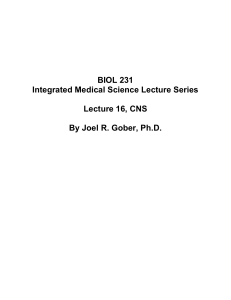 Lecture 016, CNS1 - SuperPage for Joel R. Gober, PhD.