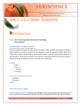 Unit 11.1 Gene Transfer