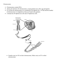 Chromosomes