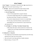 Section 5-2: Active Transport