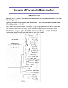 phylogeny2