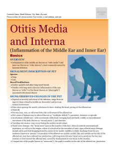 otitis_media_and_interna