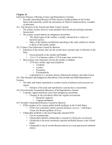 Chapter 24: Infectious Diseases Affecting the Urinary and