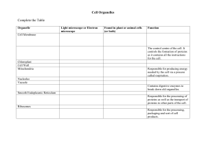 Cell Organelles Sheet