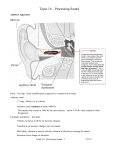 P312Ch11_Auditory II (EarDetails)