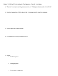 Chapter 12 RNA and Protein Synthesis Guided Reading