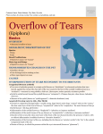 overflow_of_tears