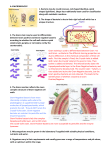 Microbiology - The Student Room