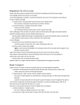 ch 7 test-transport systems