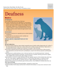 Deafness