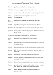 Structure and Function of Cells – Glossary