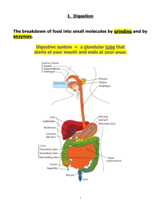 File - Biology 12 Maz