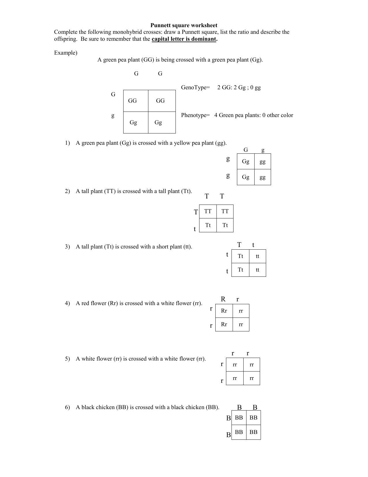 monohybrid-crosses-practice-worksheet-answer-key-promotiontablecovers