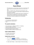 Pleural Effusion